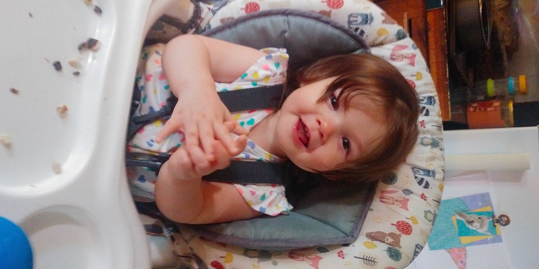 Zelda joined the competition — help win amazing prizes! auto_part, baby, baby_products, baby_toddler_clothing, car_seat, cheek, child, comfort, eyelash, fun, happy, nail, person, sitting, skin, smile, thumb, toddler, vacation, vehicle