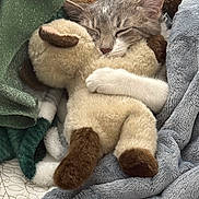 Jerry joined the competition — help win amazing prizes! cat, sleeping, tabby, stuffed_animal, plush_toy, blanket, cozy, soft, fur, paw, resting, cute, domestic_cat, indoor, snuggling, pet, animal, relaxation, comfort, cuddle
