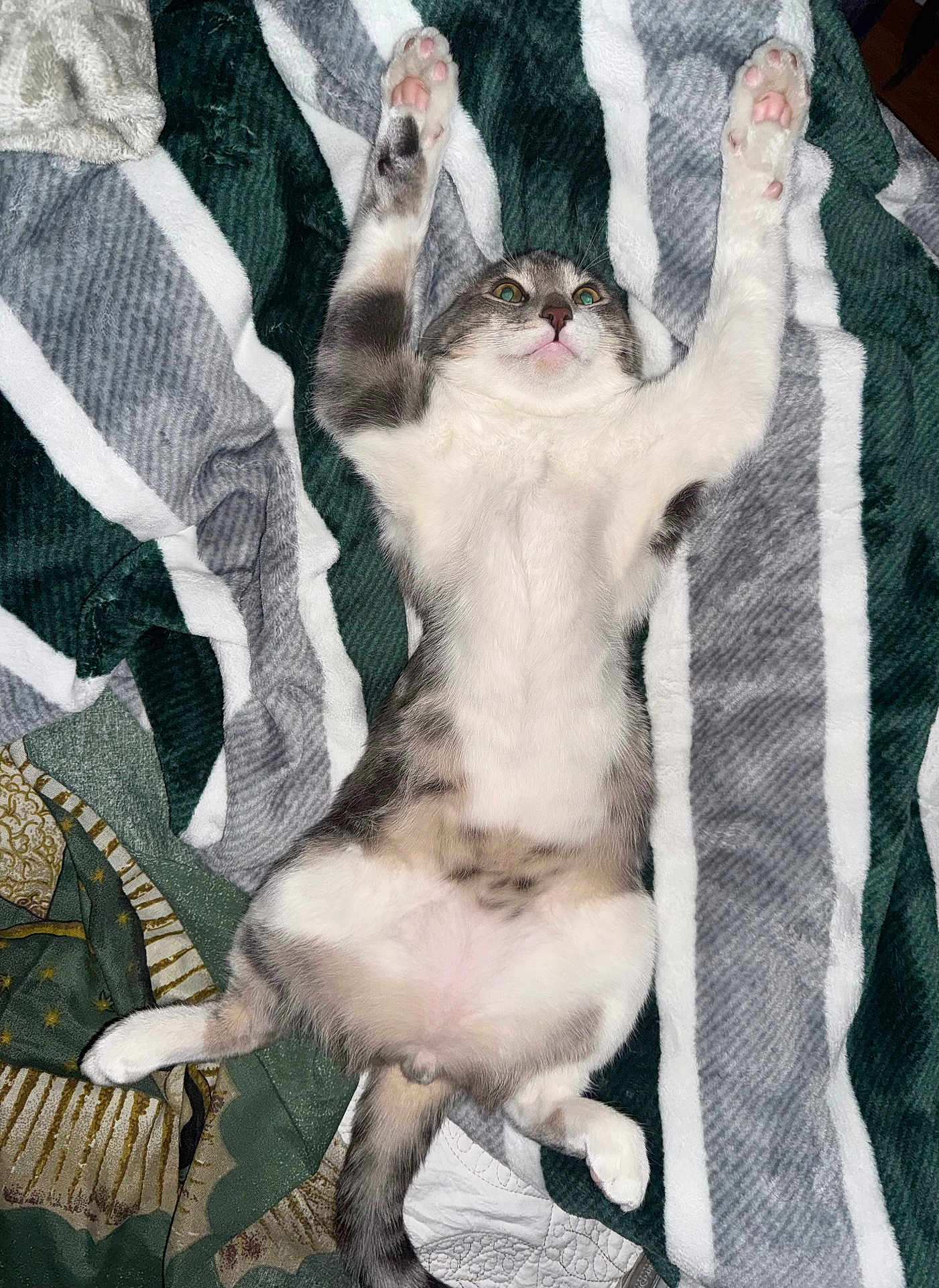 Jerry