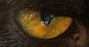 Simba participe au concours pour gagner de l'argent avec cette photo : animal, cat, clock, close_up, dark_background, detail, digital_time, eye, focus, fur, gaze, macro, mysterious, pet, reflection, scifi, sharp, texture, whiskers, yellow_eye