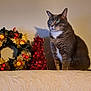 cat, tabby_cat, green_eyes, holiday_decorations, wreath, red_berries, tinsel_tree, festive, indoor, pet, feline, decor, cozy, white_surface, texture, sitting, attentive, domestic_animal, christmas, ornament