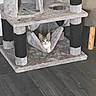 Bali participe au concours pour gagner de l'argent avec cette photo : cat, kitten, animal, pet, cat_tree, hammock, scratching_post, indoor, home, furniture, gray, white, brown, tabby, sitting, lounging, face, eyes, whiskers, floor