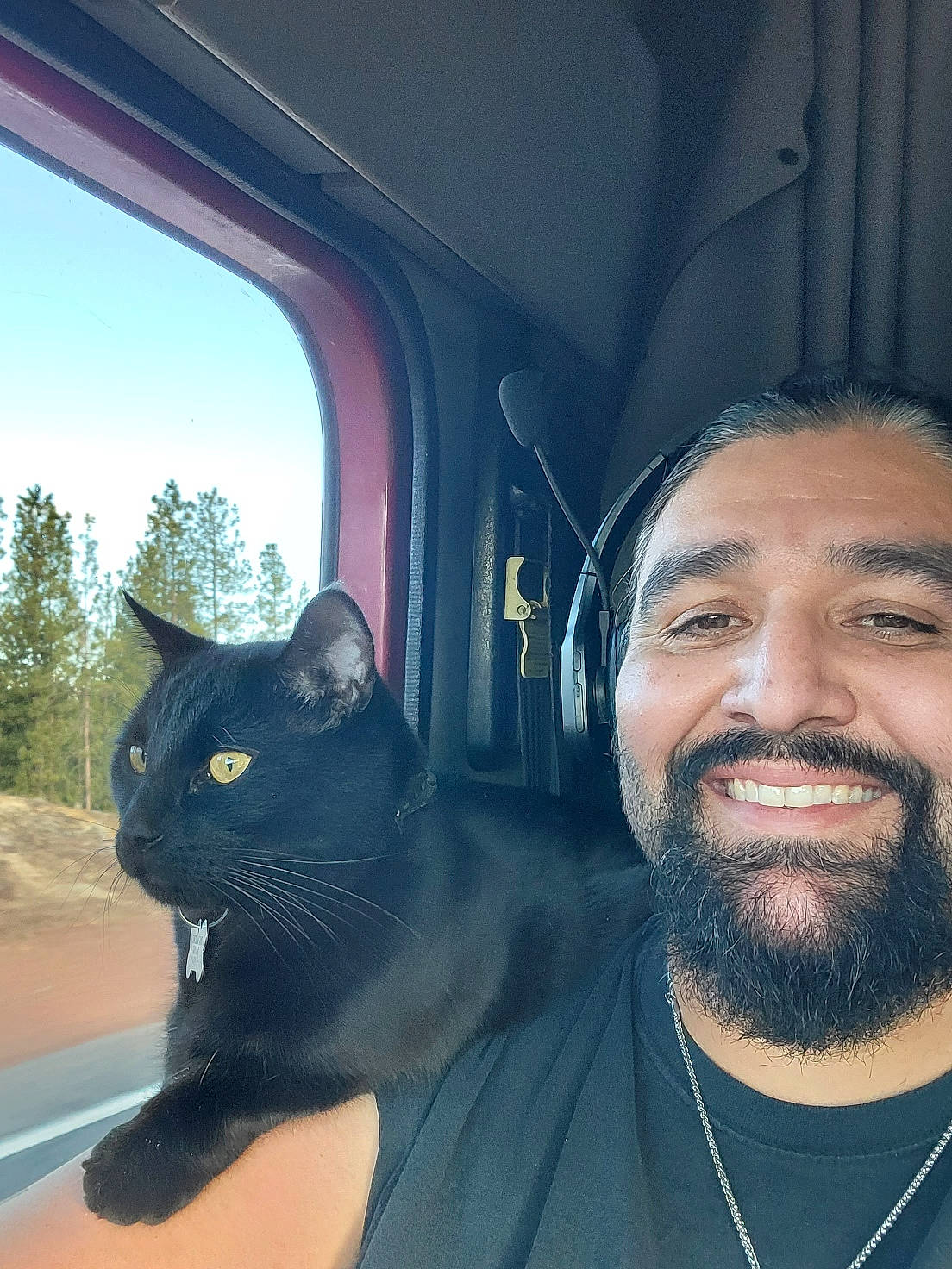 Dog is registered to the contest to win money with this photo: beard, beauty, black, carnivore, cat, cool, eyewear, felidae, forehead, hairstyle, happy, jaw, mouth, sky, small_to_medium_sized_cats, smile, tree, vehicle_door, whiskers, window