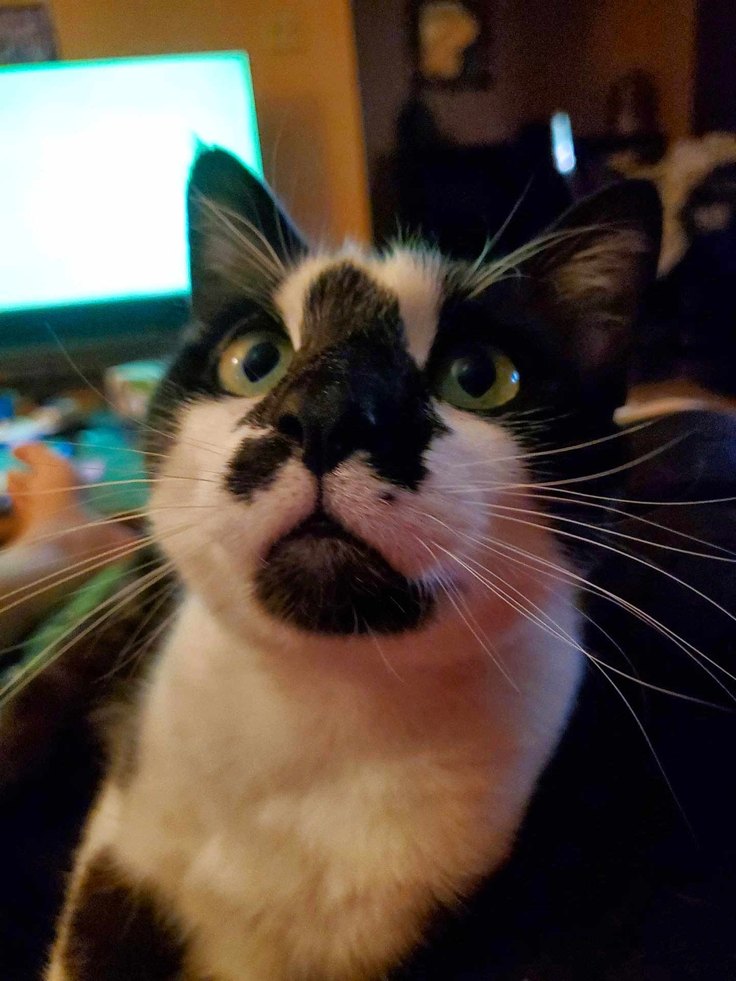 Rory