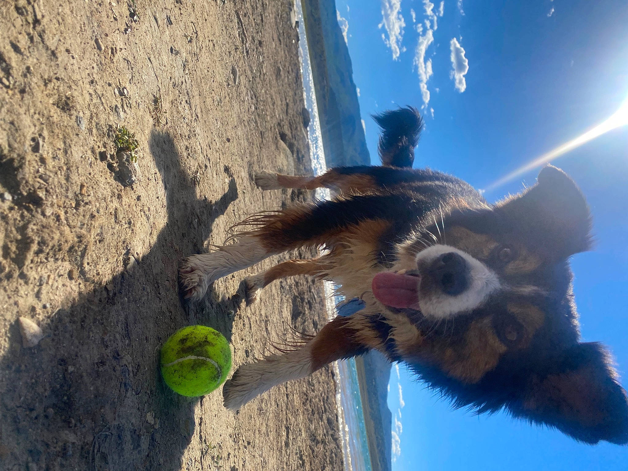 Clutch is registered to the contest to win money with this photo: ball, beach, fun, happy, landscape, leisure, light, ocean, people_in_nature, plant, recreation, reflection, sand, shadow, sky, soil, sunglasses, sunlight, tree, water