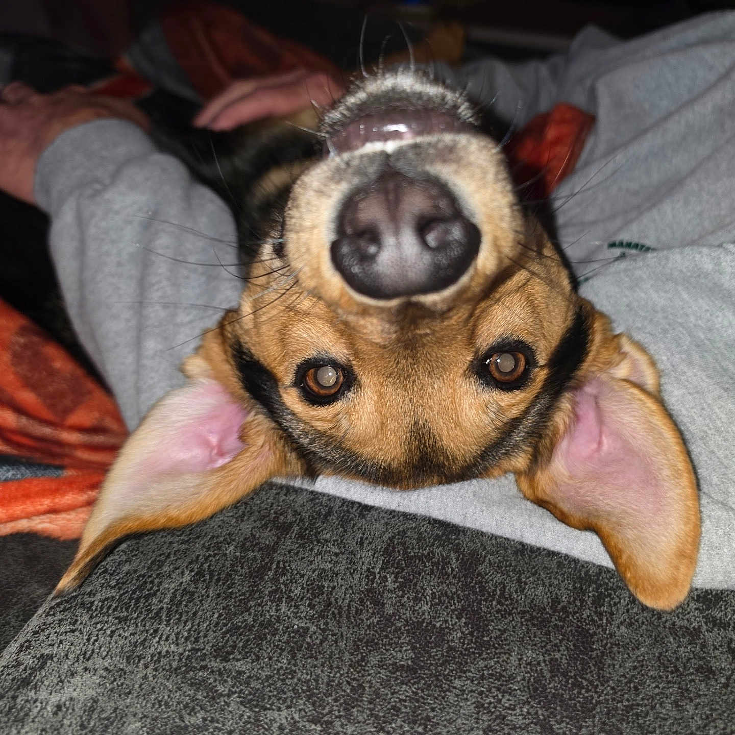 Buster