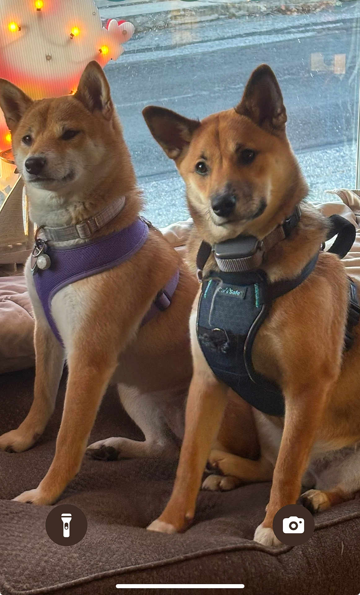 Una And Ella