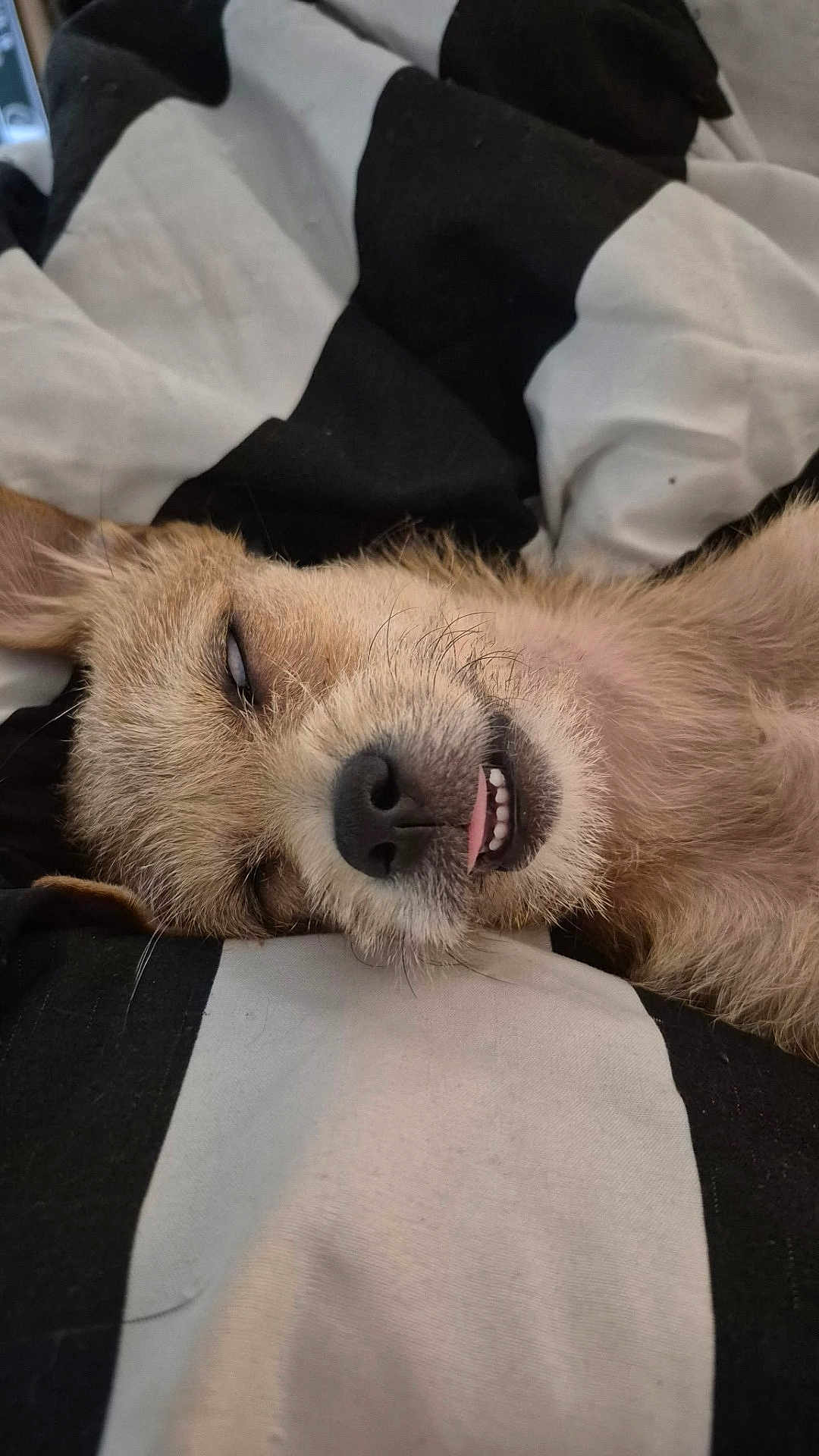 Maddie