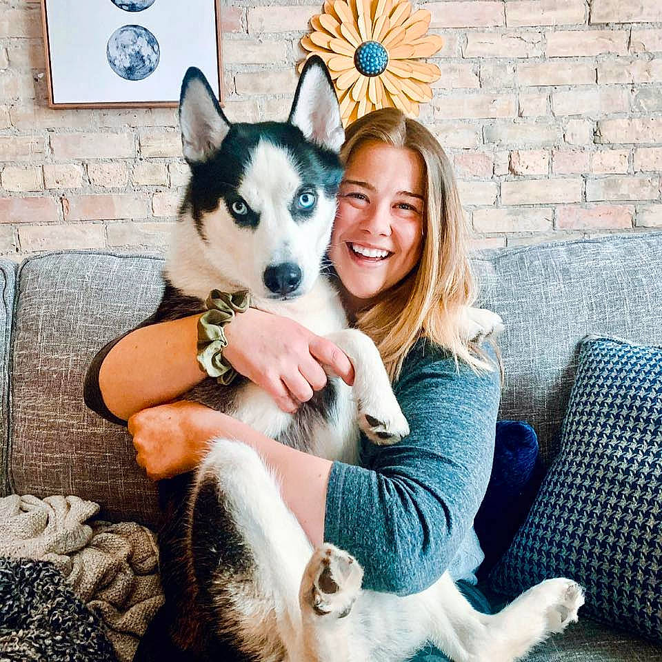 Kirby is registered to the contest to win money with this photo: blue, canidae, carnivore, comfort, companion_dog, couch, dog, dog_breed, fawn, fun, fur, happy, lap, love, paw, picture_frame, sitting, smile, sporting_group, white