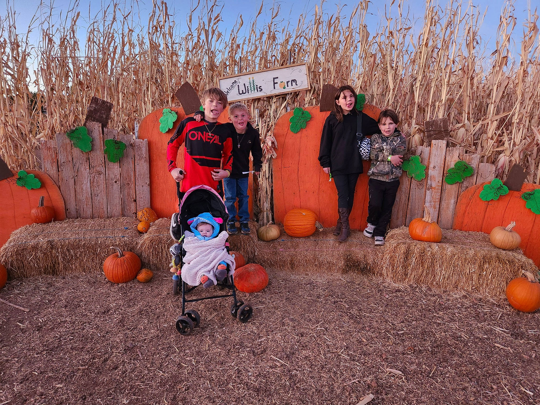 Brylee Garcia joined the competition — help win amazing prizes! calabaza, cucurbita, event, fun, gourd, grass, landscape, leisure, local_food, natural_foods, orange, people_in_nature, person, plant, pumpkin, sky, soil, squash, tree, vegetable
