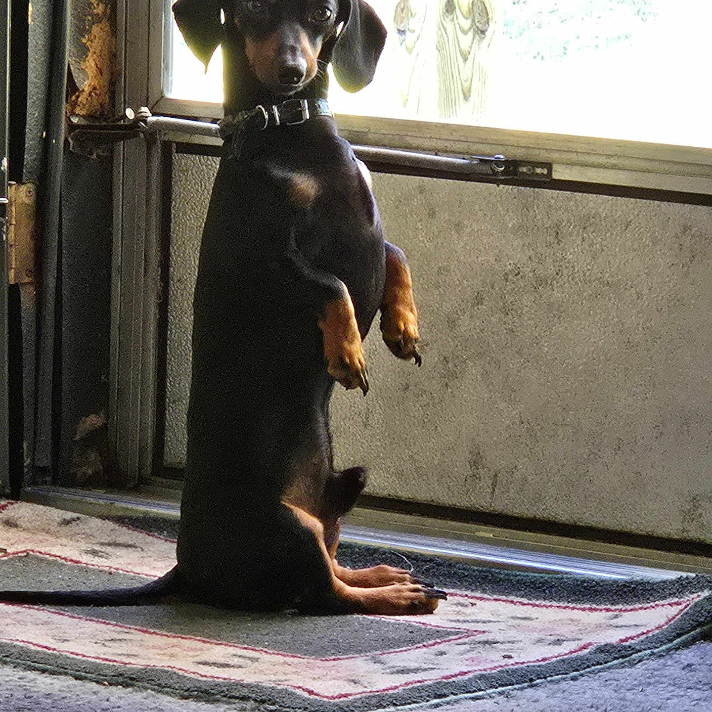 Winston