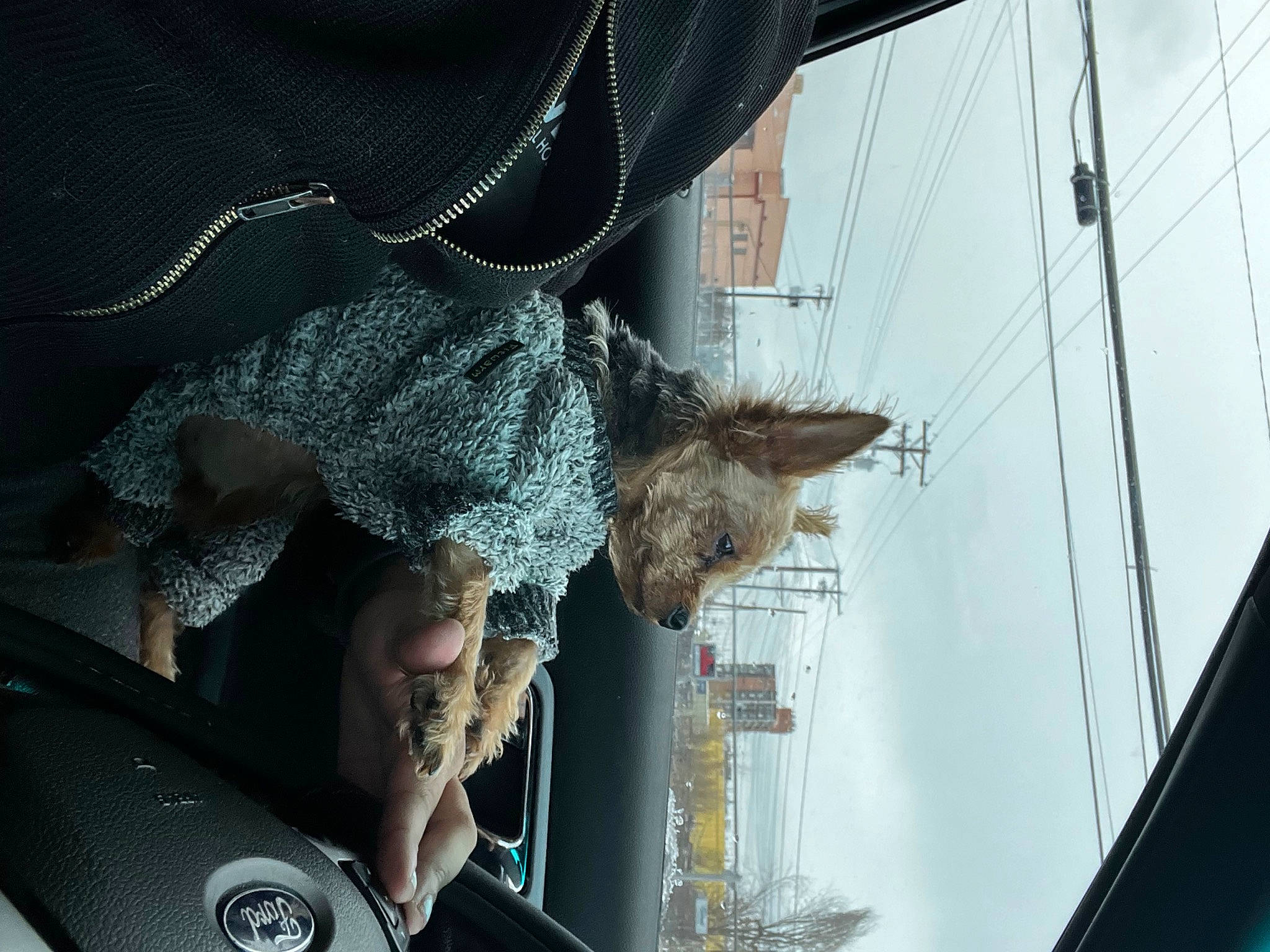 Tobias joined the competition — help win amazing prizes! auto_part, automotive_exterior, automotive_lighting, automotive_window_part, car, dress, eyewear, family_car, fashion_accessory, fun, fur, glass, hood, reflection, sky, sunglasses, tree, vehicle_door, window, winter