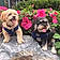 Toby N Benny