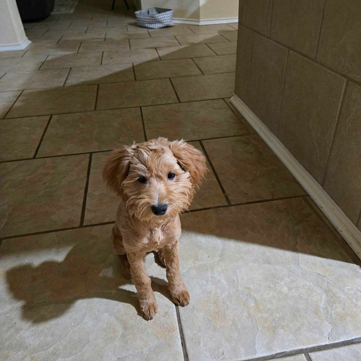 Puddles