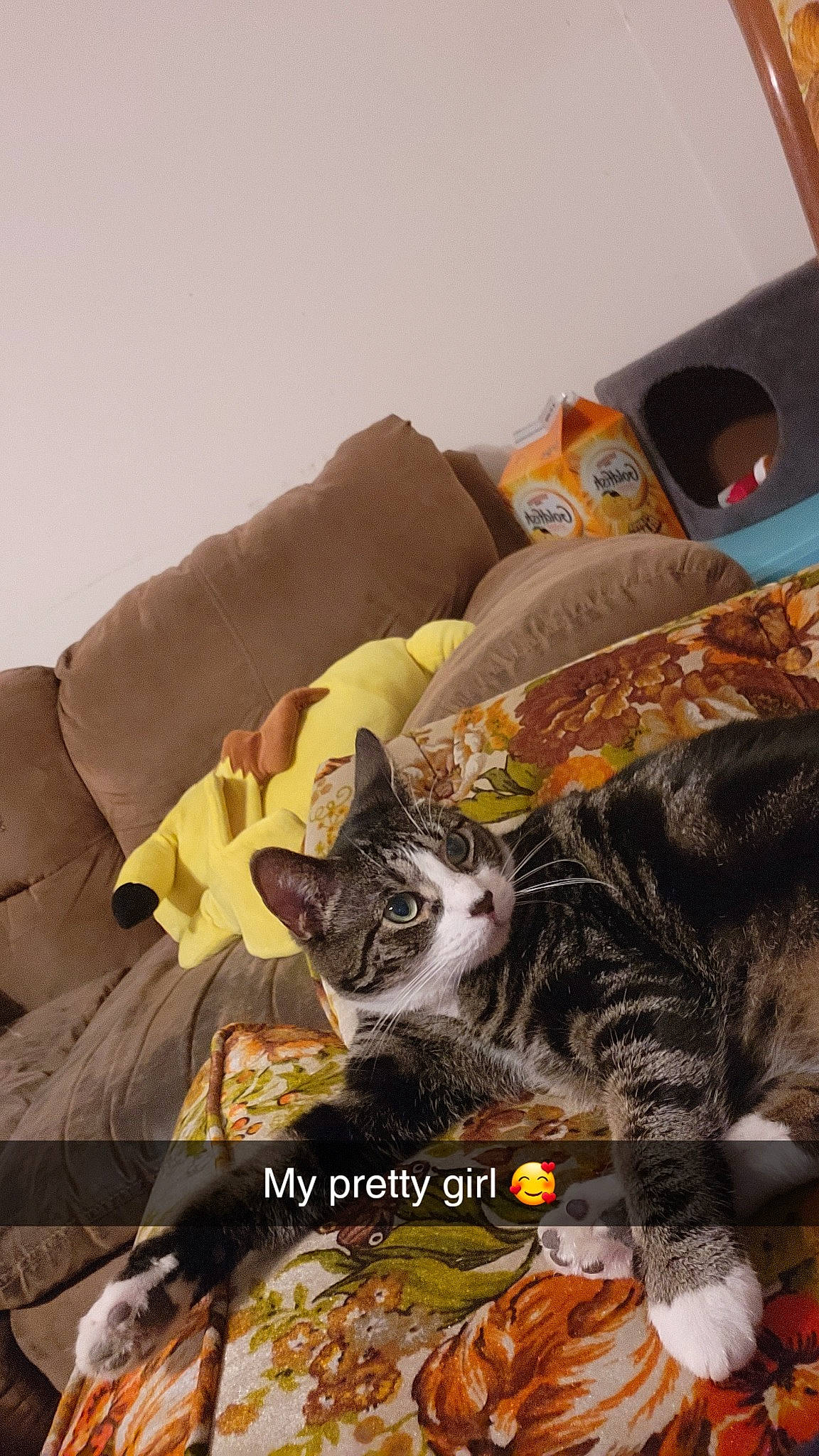 Stripes is registered to the contest to win money with this photo: bed_sheet, bedding, blanket, carnivore, cat, comfort, companion_dog, couch, domestic_short_haired_cat, felidae, fur, linens, nap, orange, paw, pillow, room, small_to_medium_sized_cats, tail, whiskers