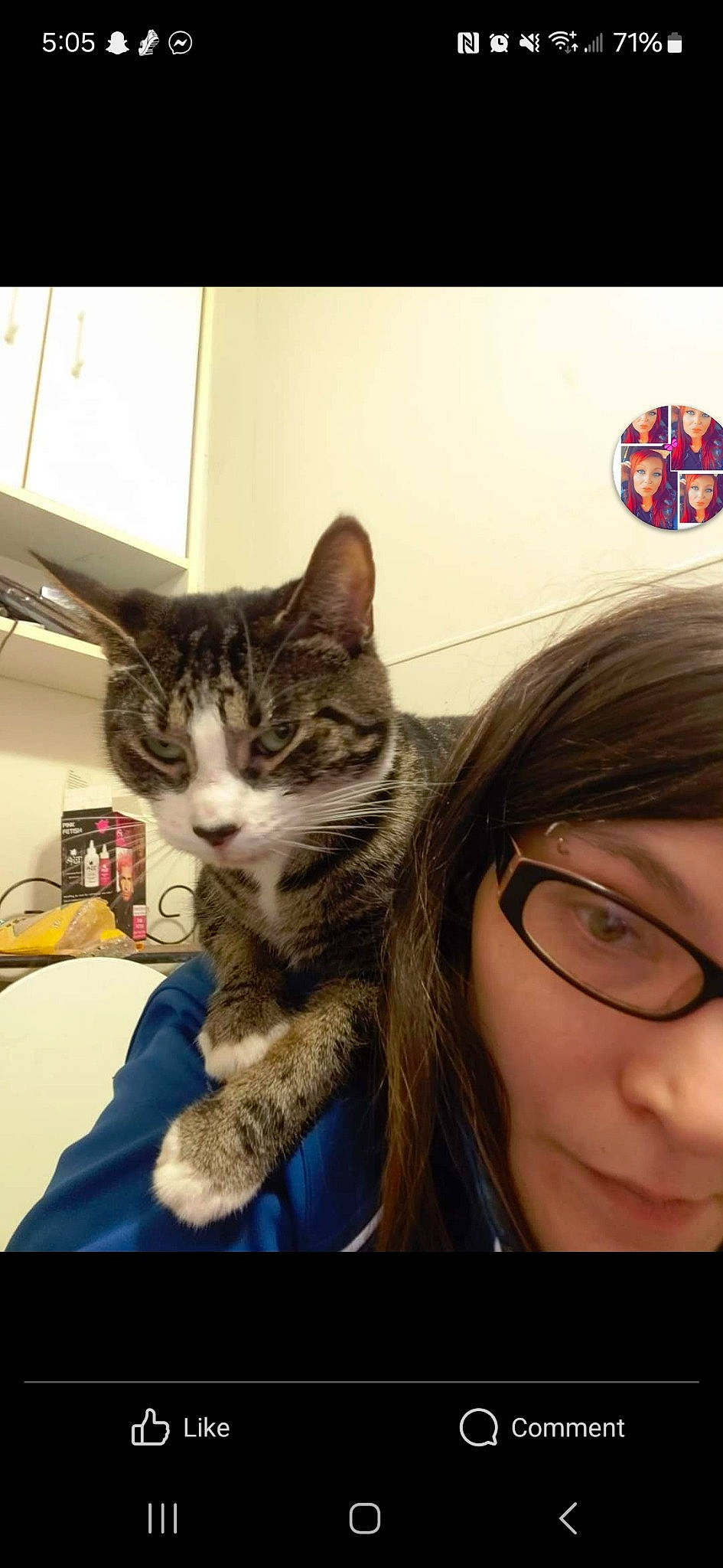 Stripes is registered to the contest to win money with this photo: carnivore, cat, claw, comfort, domestic_short_haired_cat, ear, eyewear, felidae, fur, gesture, happy, iris, nose, paw, selfie, sitting, small_to_medium_sized_cats, smile, whiskers