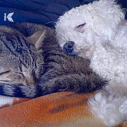 Guismo participe au concours pour gagner de l'argent avec cette photo :