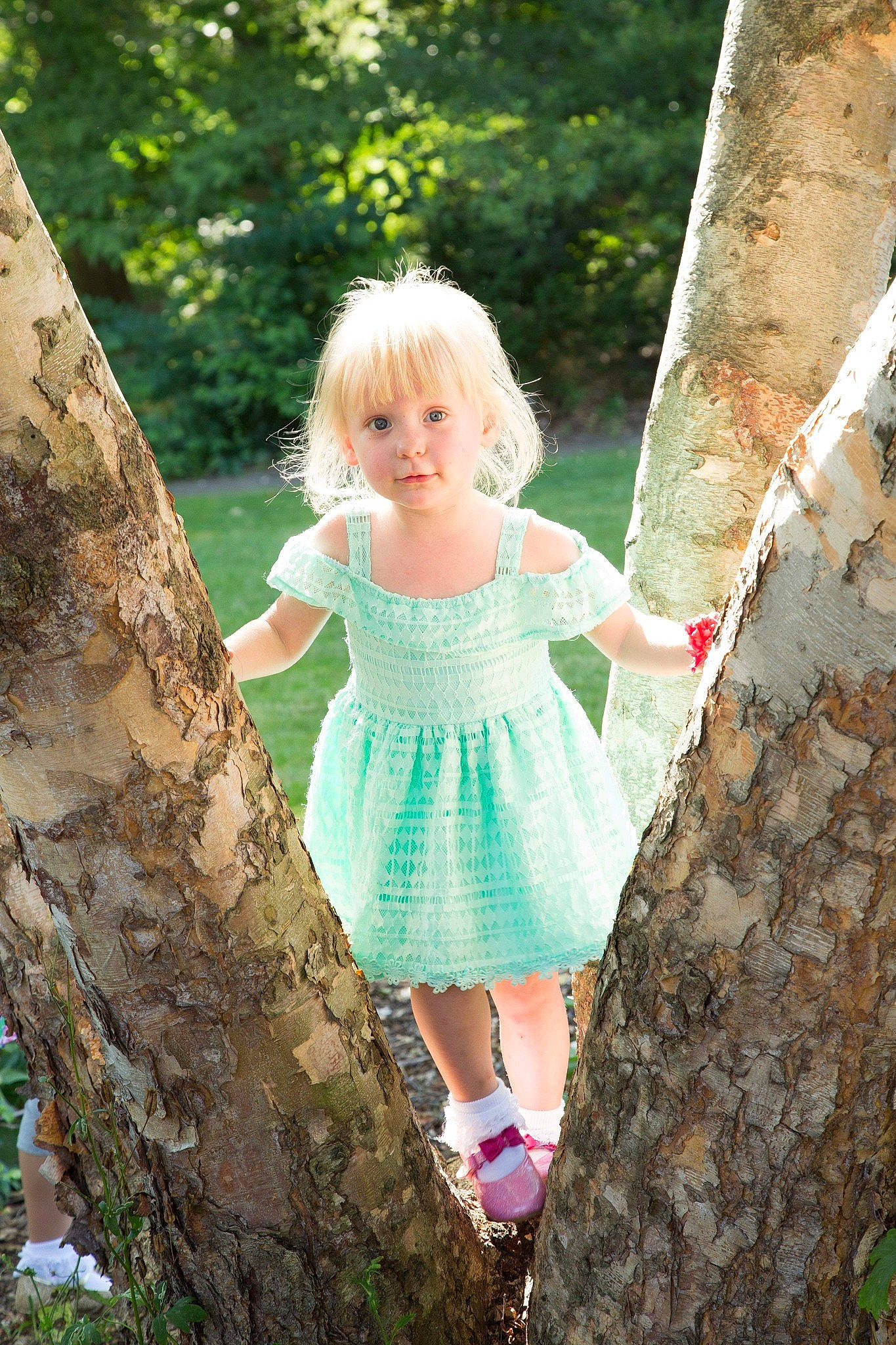 Eden is registered to the contest to win money with this photo: beauty, birch_family, blond, child, child_model, dress, fawn, green, people_in_nature, person, photography, plant, spring, summer, toddler, tree, trunk, woody_plant