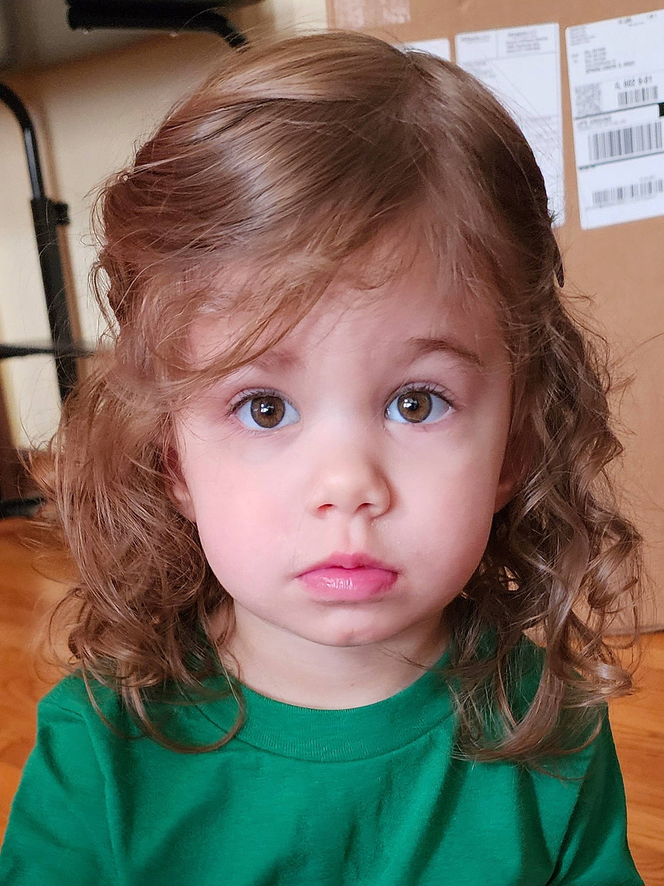 background, cardboard_box, casual_clothing, child, closeup, curiosity, curly_hair, cute, expression, eyes, face, floor, green_shirt, hair, indoor, person, portrait, skin, toddler, young_child