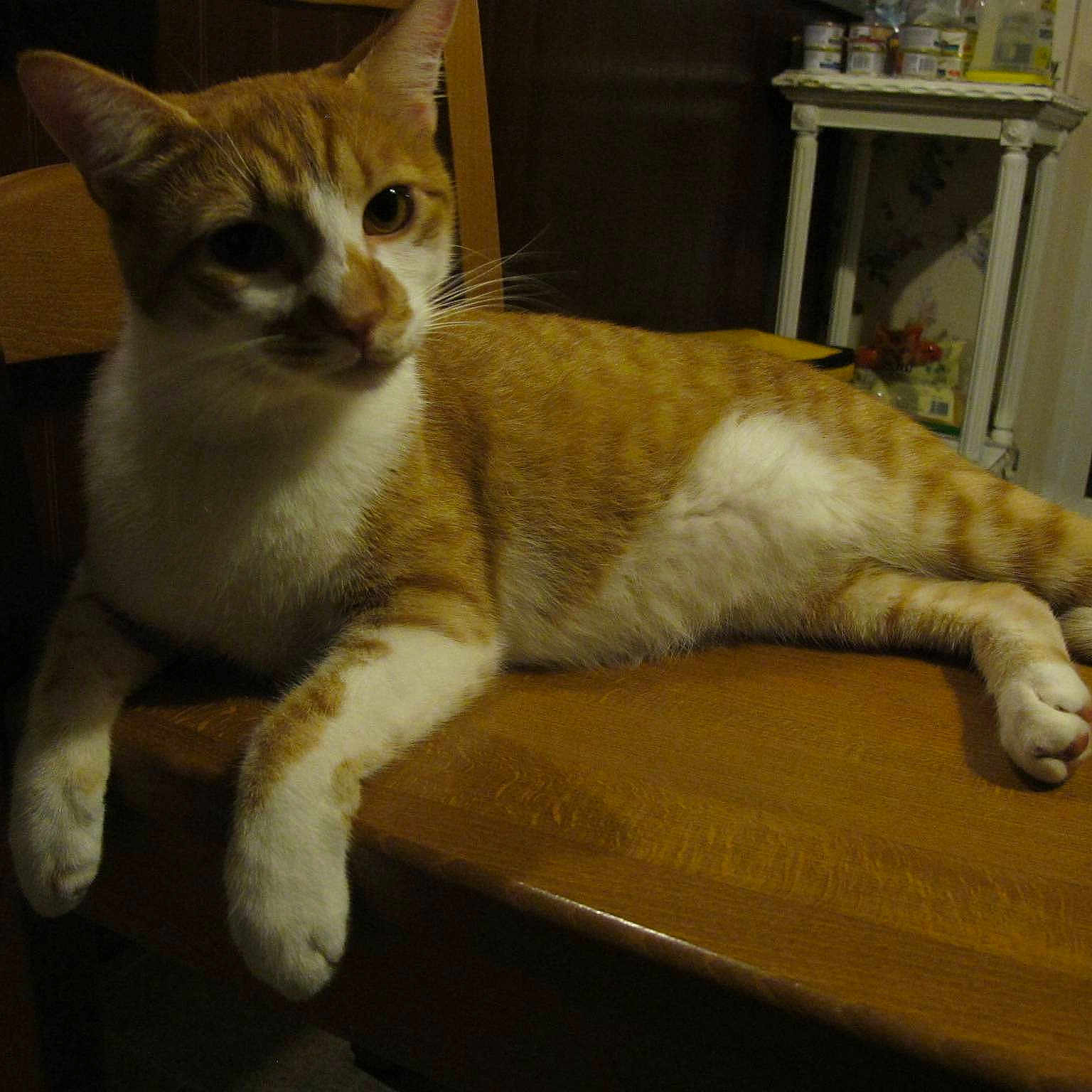 Starshine is registered to the contest to win money with this photo: