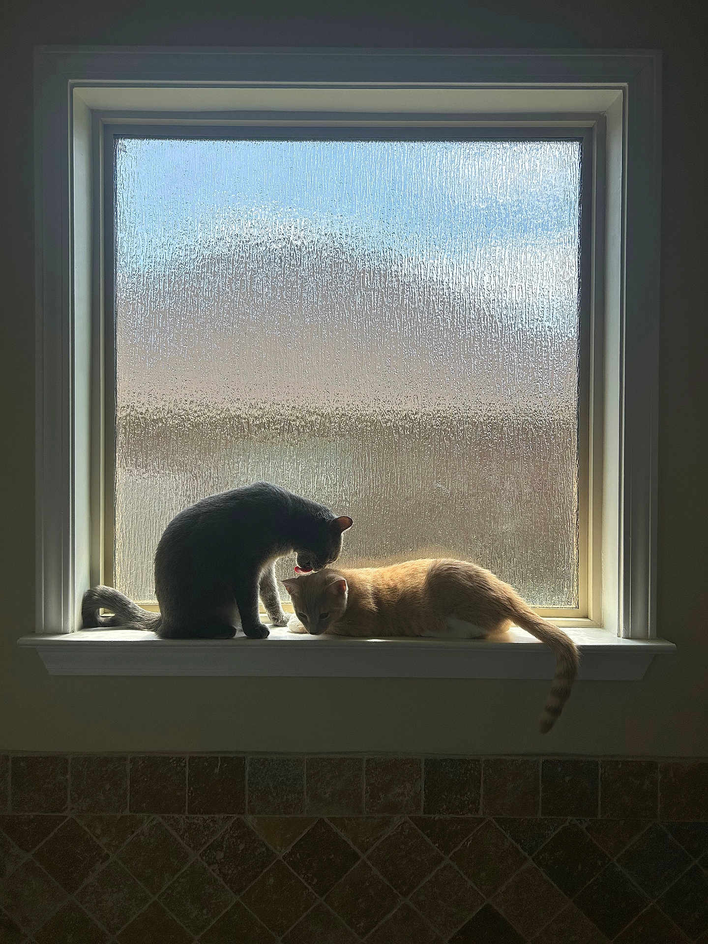 Kleo And Rocky