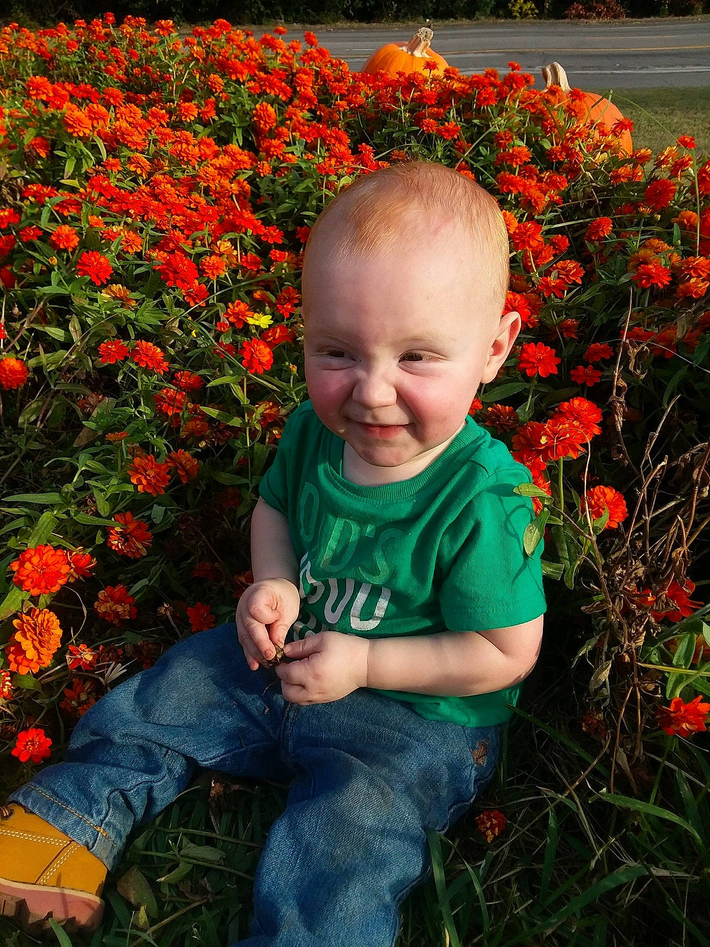 Reece is registered to the contest to win money with this photo: autumn, child, flower, fun, garden, girl, grass, infant, joy, leaf, person, petal, plant, play, red, shrub, smile, spring, toddler, wildflower