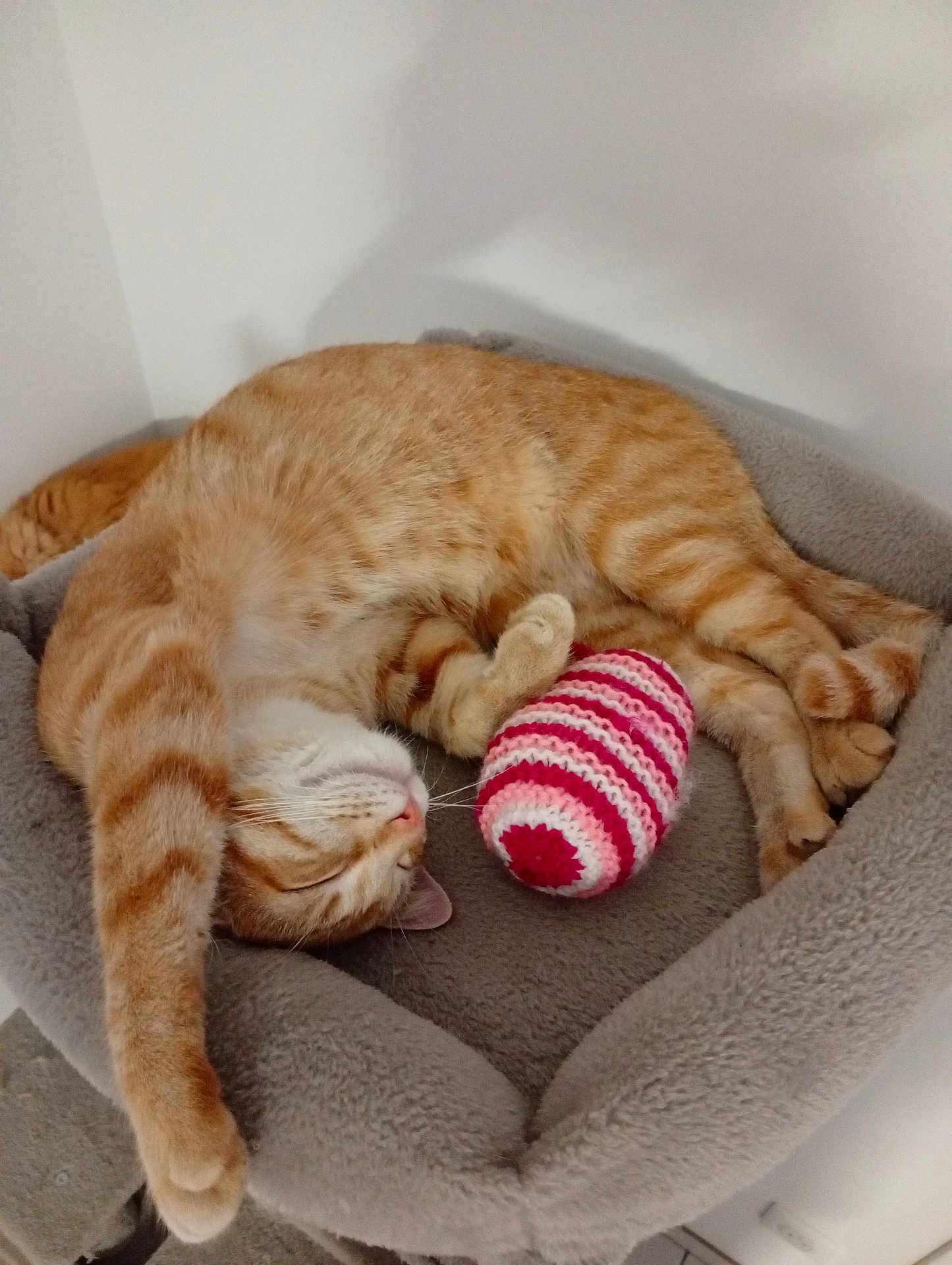 Polux participe au concours pour gagner de l'argent avec cette photo : cat, orange_tabby, pet_bed, cozy, sleeping, stretching, indoor, toy, crocheted_toy, relaxed, feline, paw, whiskers, fur, cute, domestic_cat, resting, comfort, animal, pet