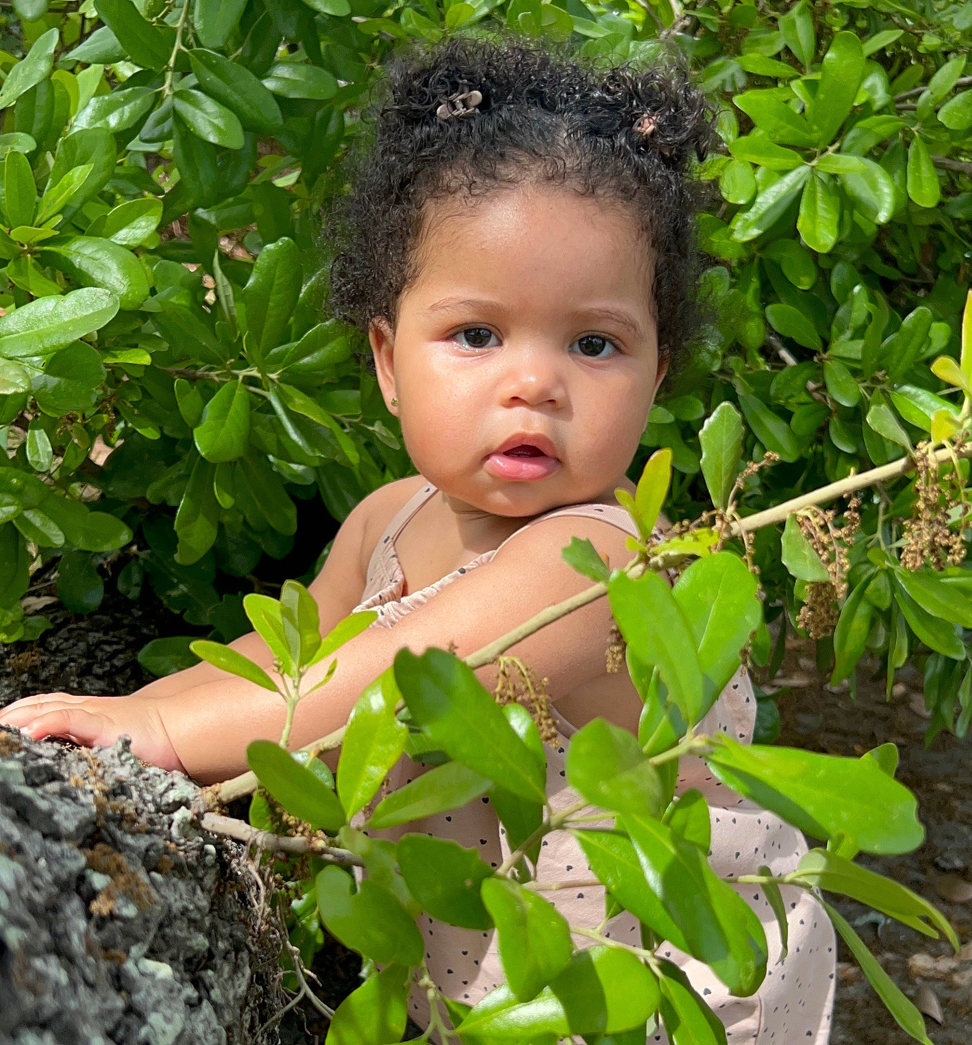 Meghan is registered to the contest to win money with this photo: baby, baby_toddler_clothing, child, eye, garden, grass, groundcover, happy, head, jungle, leaf, nature, people_in_nature, person, plant, shrub, terrestrial_plant, toddler, tree, vegetation