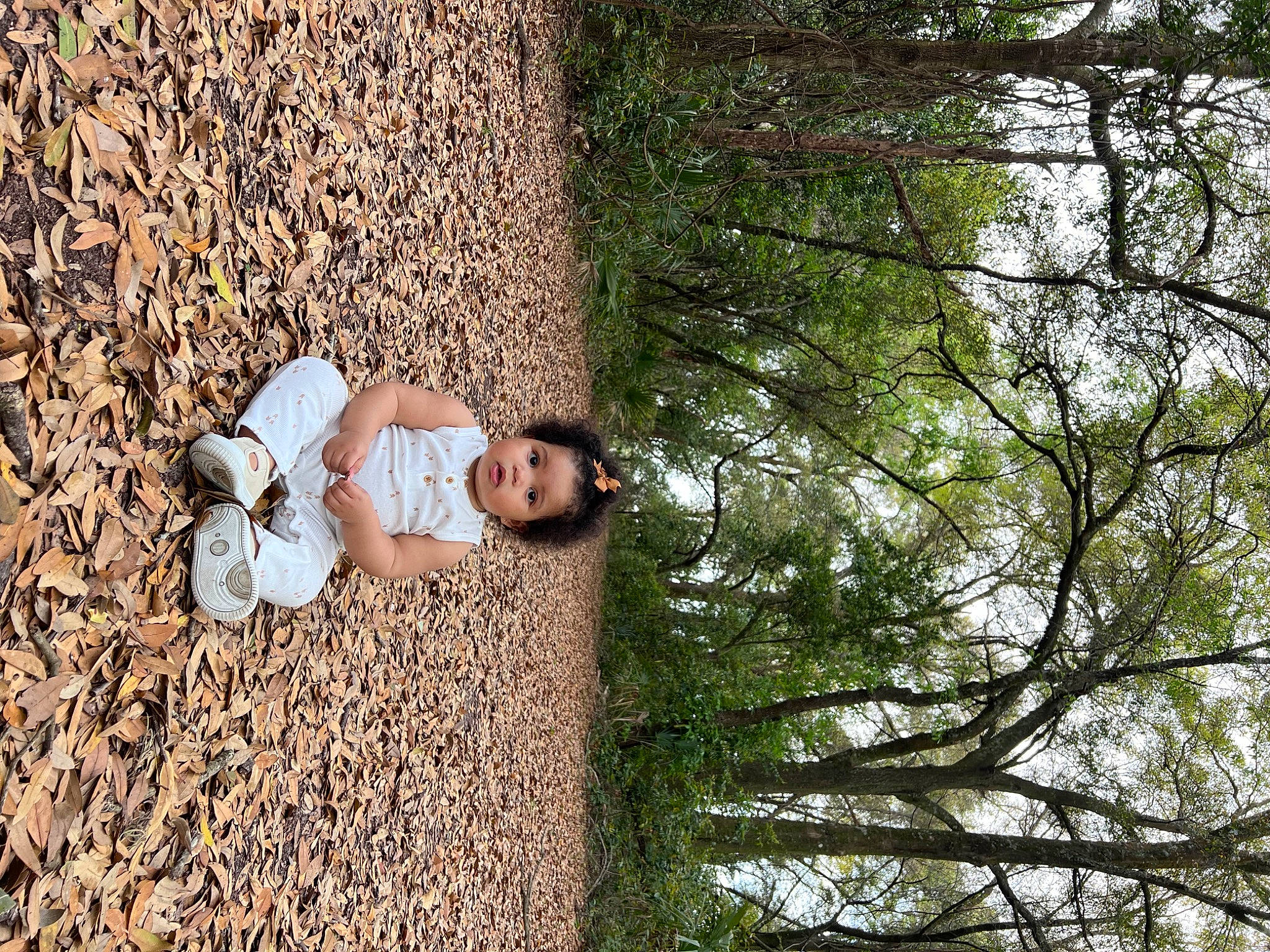 Meghan joined the competition — help win amazing prizes! autumn, branch, forest, fun, grass, happy, landscape, leisure, people_in_nature, person, plant, rock, sitting, sky, soil, tree, trunk, twig, wood