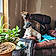 Riley And Oreo