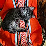 kitten, cat, sleeping, orange_blanket, patterned_blanket, furry, cute, cozy, indoor, chair, pet, resting, animal, domestic_cat, small_animal, fluffy, relaxed, soft, comfort, home