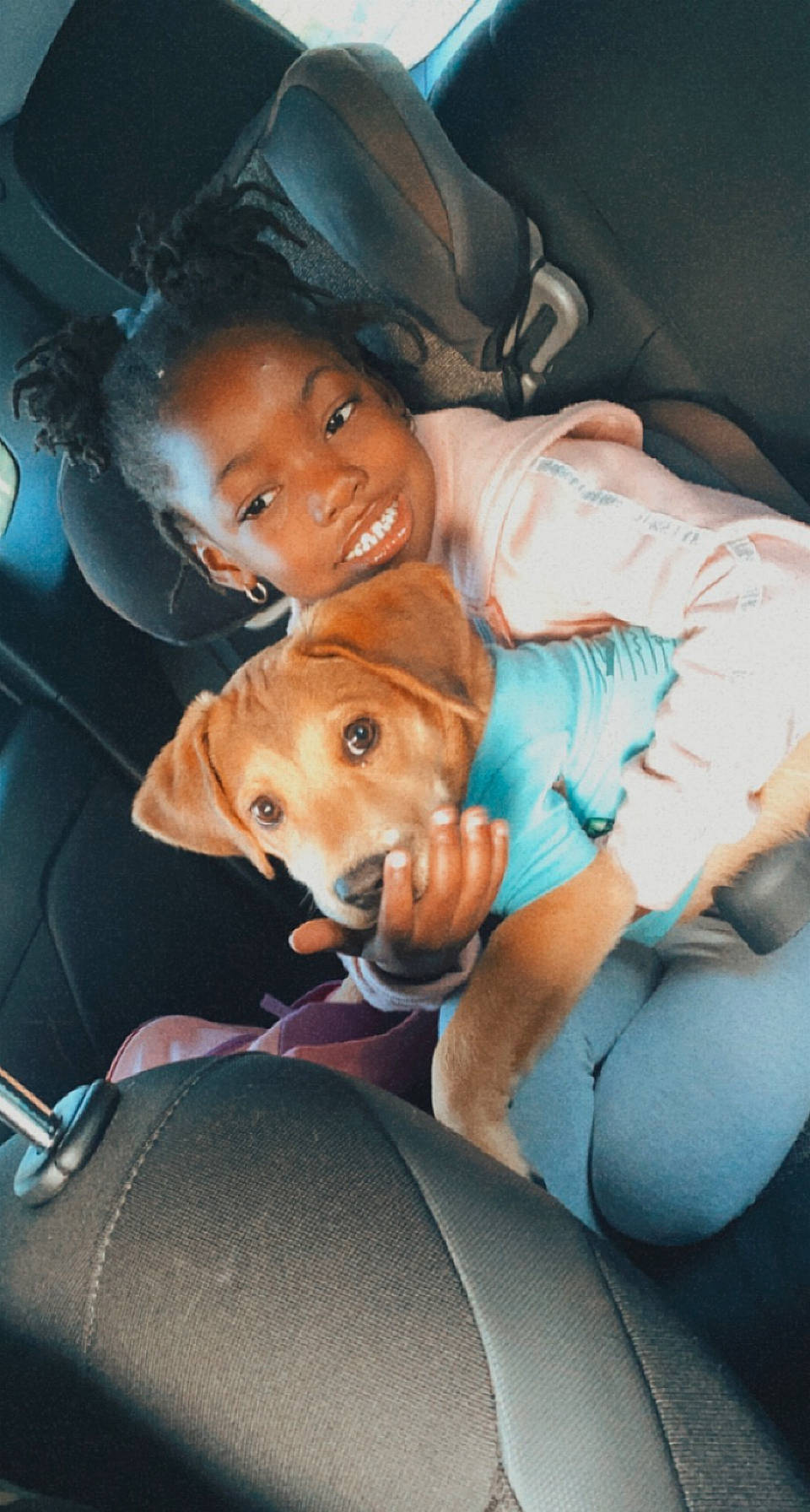 Kaitlin is registered to the contest to win money with this photo: car, car_seat, carnivore, child, comfort, companion_dog, dog, dog_breed, family_car, fawn, happy, lap, mammal, person, plant, seat_belt, smile, stuffed_toy, toddler, toy