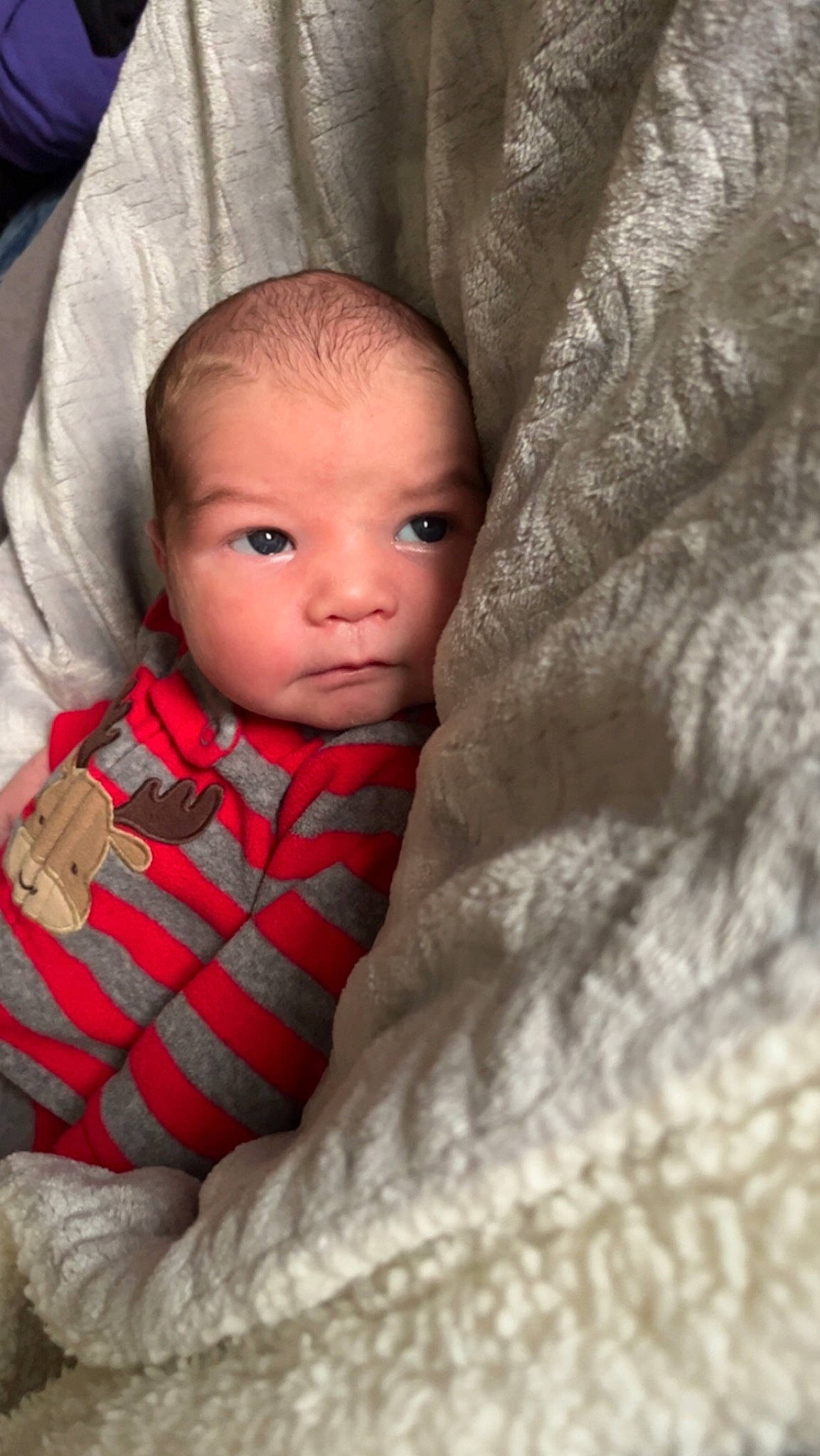 Bentley joined the competition — help win amazing prizes! baby, baby_toddler_clothing, carmine, cheek, child, close_up, comfort, fur, iris, linens, lip, mouth, nose, person, room, sitting, skin, sleeve, textile, toddler