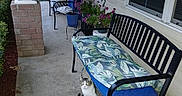 Bigboy joined the competition — help win amazing prizes! bench, cat, concrete, curious, cushion, domestic_animal, fence, flower, greenery, house, leafy_pattern, metal_bench, outdoor, plant, porch, potted_plant, seat_cushion, sidewalk, vehicle, window