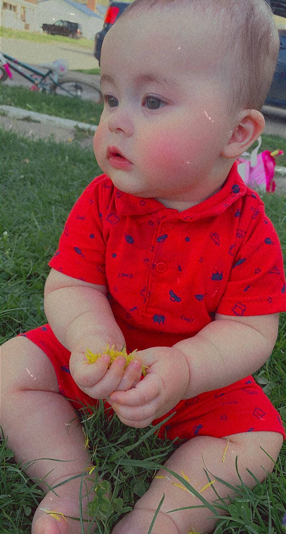 Denver is registered to the contest to win money with this photo: baby_toddler_clothing, cheek, dress, eye, face, grass, hair, hairstyle, happy, head, human_body, lip, nose, people_in_nature, person, photograph, plant, product, skin, sleeve