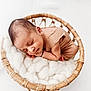 newborn, baby, sleeping, basket, soft, fluffy, white, cozy, infant, cute, resting, peaceful, portrait, child, skin, hands, head, natural_light, minimalist, warm