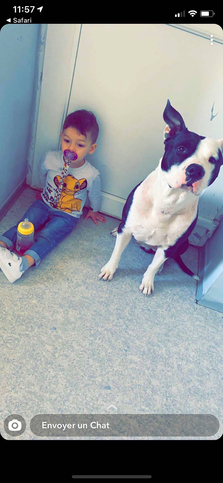 Lounes a rejoint le concours — aidez-le/la à gagner de superbes lots ! baby, baby_toddler_clothing, blue, boston_terrier, canidae, carnivore, child, collar, companion_dog, dog, dog_breed, fawn, floor, flooring, person, sitting, sporting_group, tail, toddler, whiskers