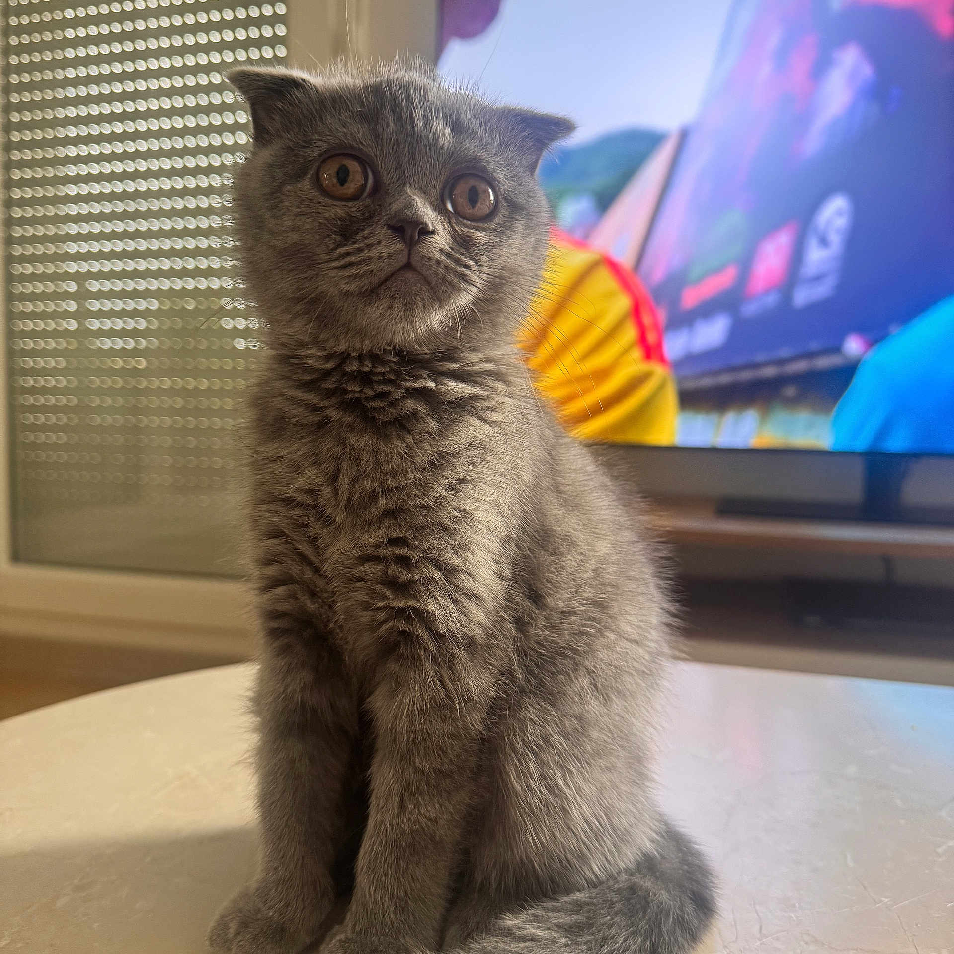 Mimi
