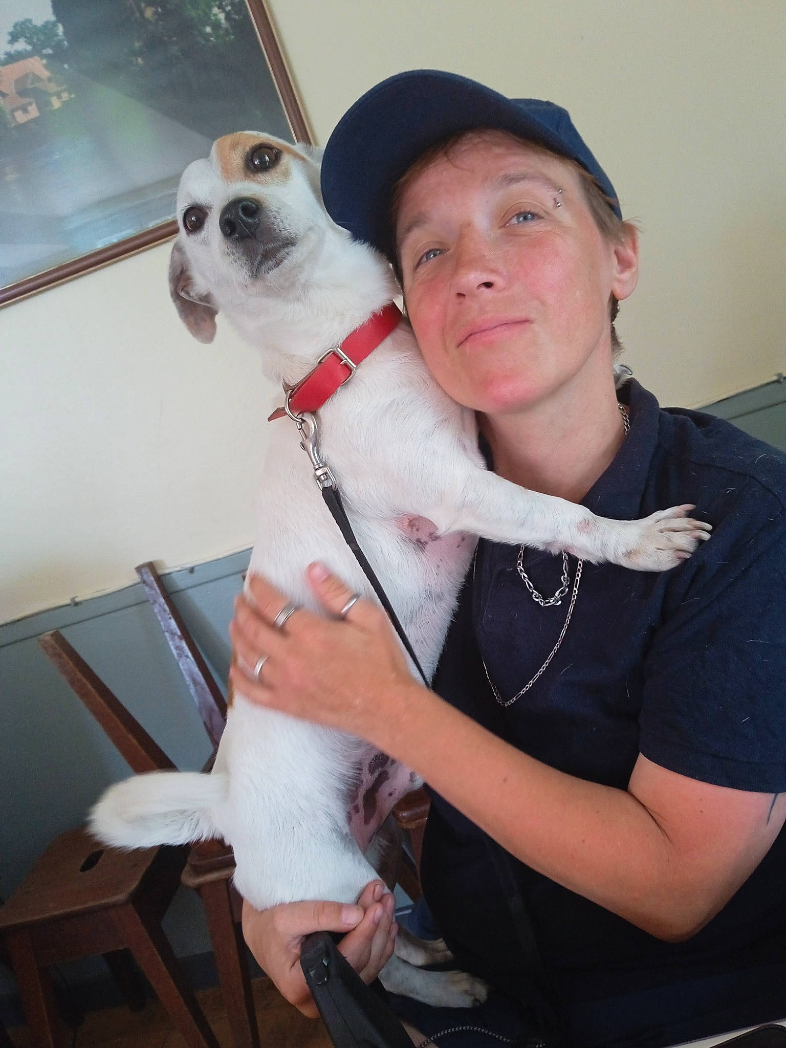 Litchy participe au concours pour gagner de l'argent avec cette photo : baseball_cap, canidae, cap, carnivore, chair, collar, companion_dog, costume, dog, dog_breed, eyewear, fawn, formal_wear, fur, hat, leash, selfie, sporting_group, whiskers, working_animal