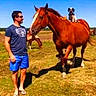 animal, blue_sky, casual_clothing, companionship, dog, domestic_animal, field, grass, horse, leisure, mammal, man, nature, outdoor, pet, riding, standing, summer, sunglasses, sunny