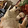 Tigger