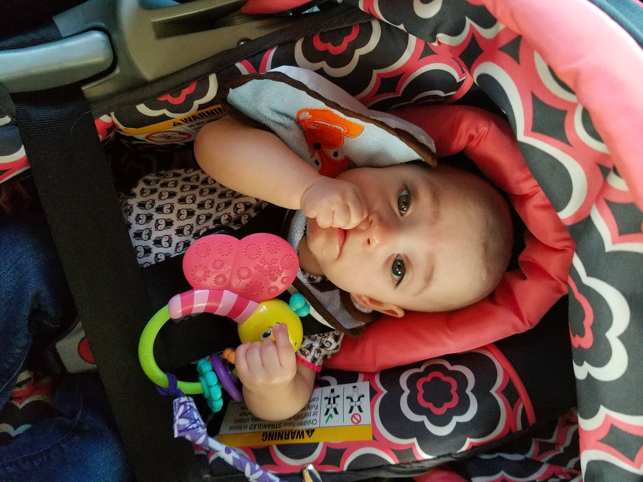 Vivian is registered to the contest to win money with this photo: baby, baby_carriage, baby_products, baby_toys, cheek, child, person, product, toddler