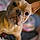 Rosco