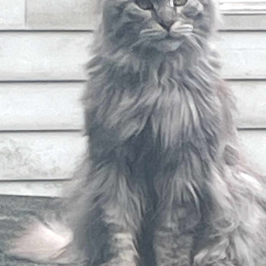 Tito
