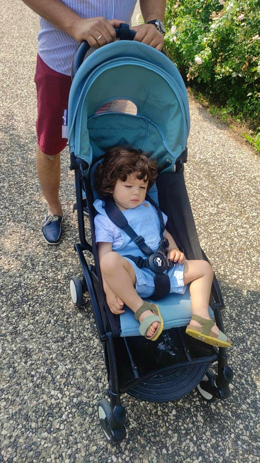 Anas a rejoint le concours — aidez-le/la à gagner de superbes lots ! toddler, child, stroller, curly_hair, blue_clothing, sandal, adult, hand, watch, gravel_path, greenery, flowers, outdoor, sunny, casual_clothing, footwear, person, nature, walking, daylight