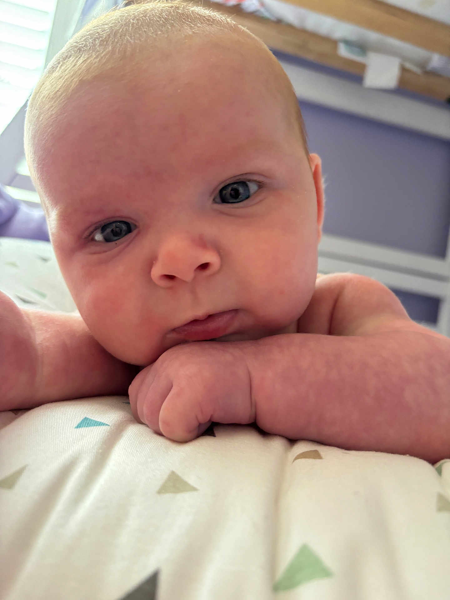 Connor joined the competition — help win amazing prizes! baby, infant, face, skin, hand, arm, blanket, pattern, closeup, resting, curious, indoors, natural_light, portrait, young_child, cute, expression, soft, head, lying_down
