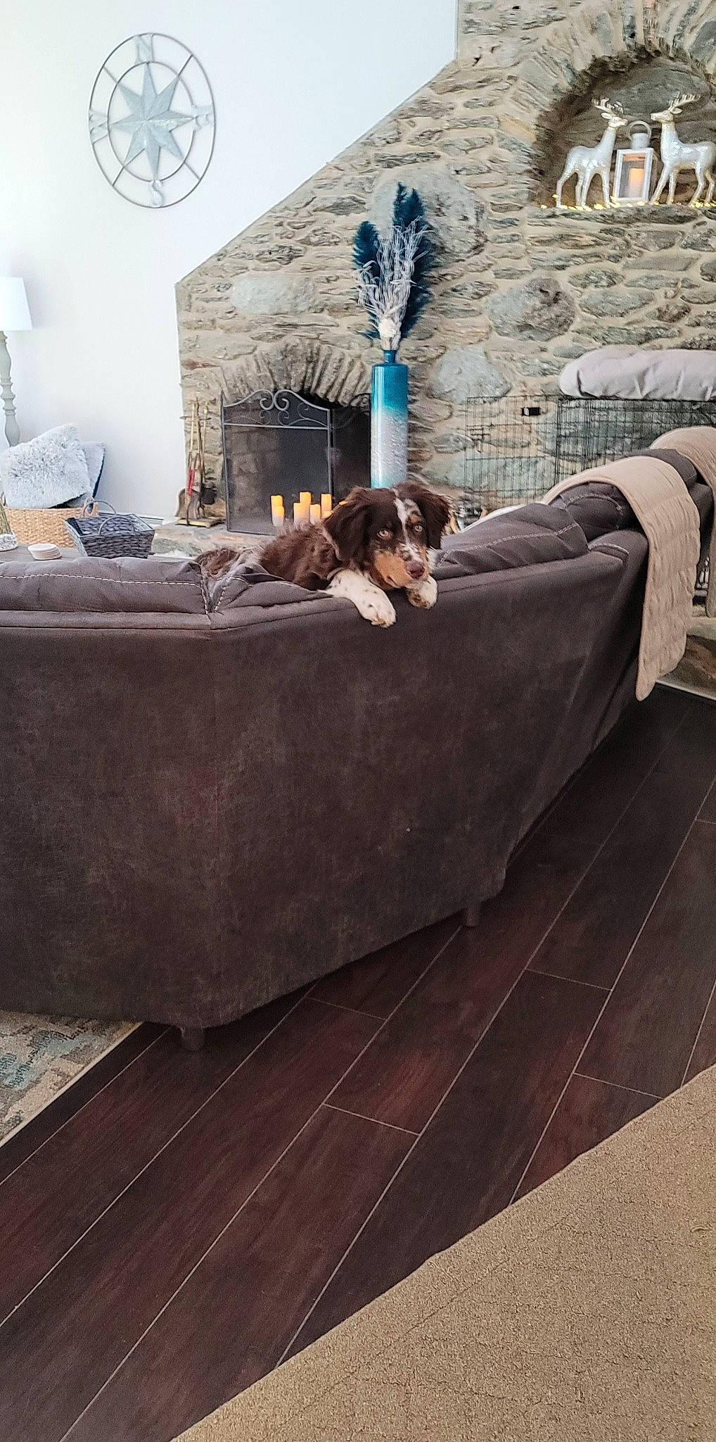 Wyatt is registered to the contest to win money with this photo: bed_frame, bedding, building, comfort, couch, dress, event, floor, flooring, grey, hardwood, house, interior_design, linens, living_room, plant, purple, real_estate, tree, wood