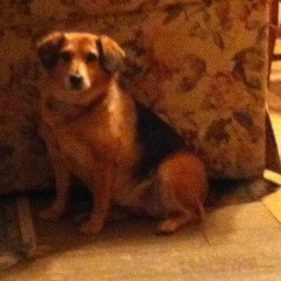 Sadie