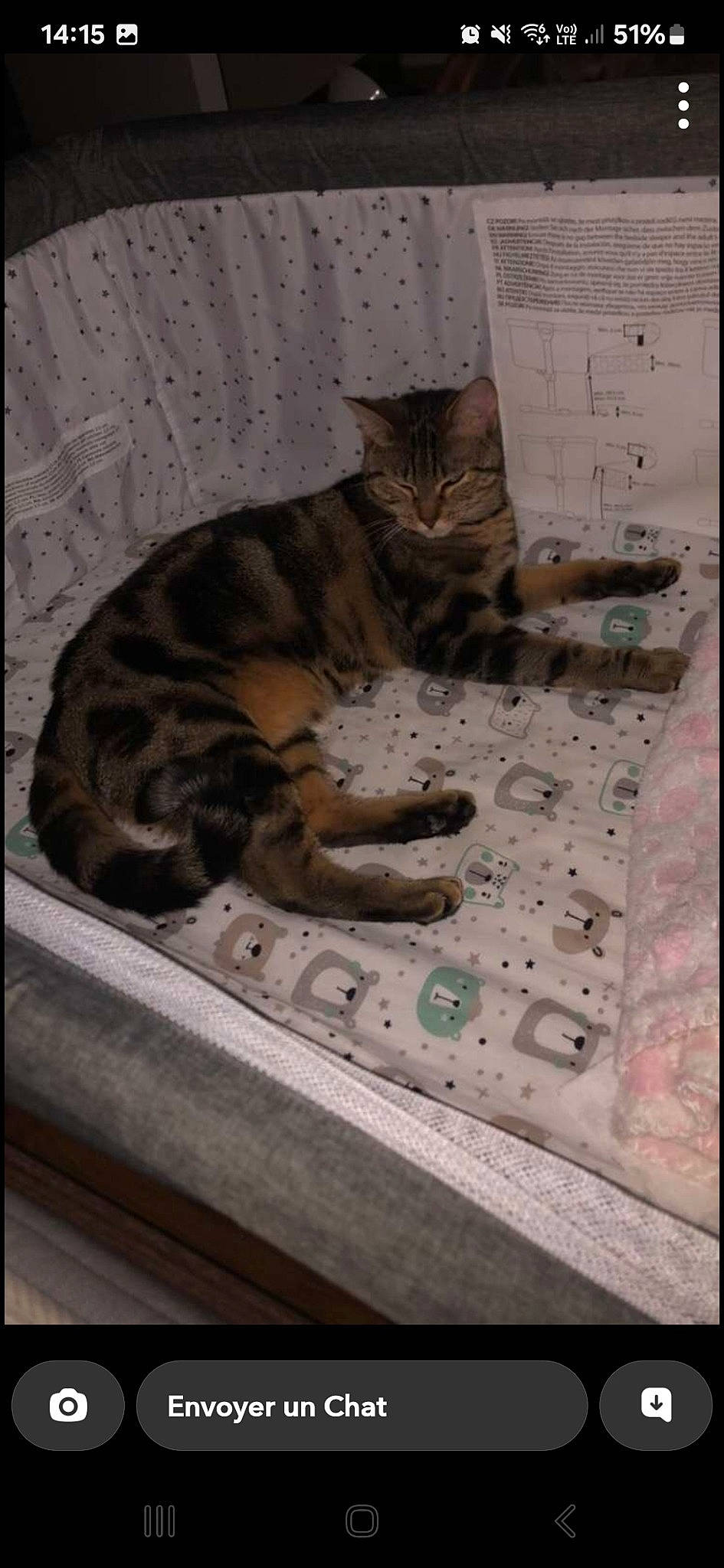 Taya participe au concours pour gagner de l'argent avec cette photo : carnivore, cat, cat_supply, comfort, domestic_short_haired_cat, fawn, felidae, flooring, fur, paw, pet_supply, photo_caption, rectangle, sitting, small_to_medium_sized_cats, snout, tail, terrestrial_animal, whiskers