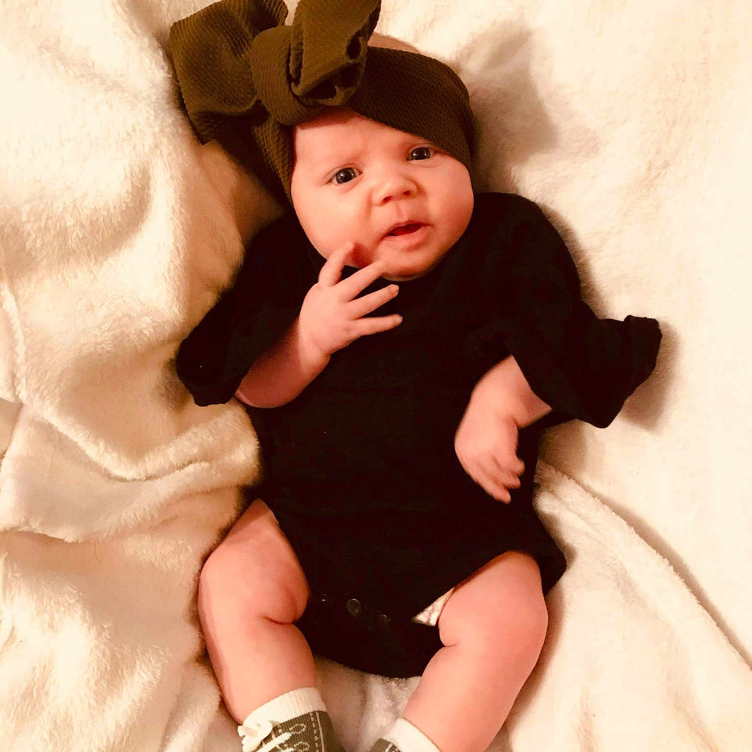 Stella Rose